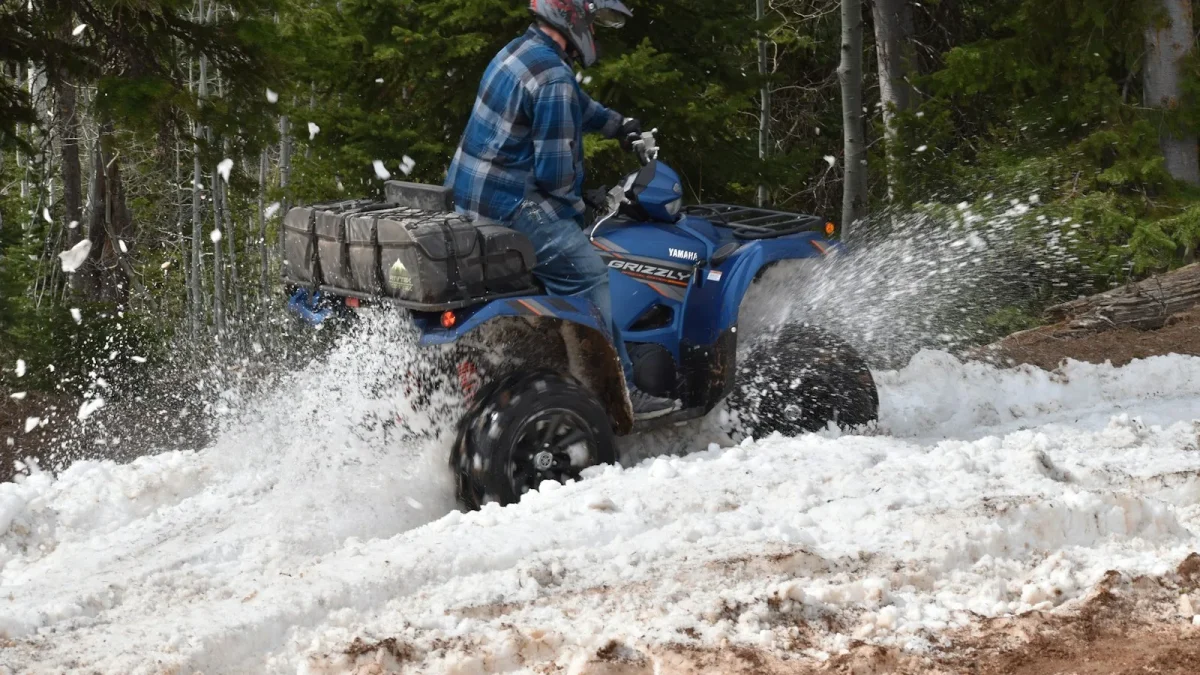 Yamaha Grizzly Won’t Start After Sitting